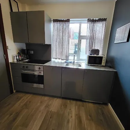 Grettir Apartments Reykjavik Extérieur photo